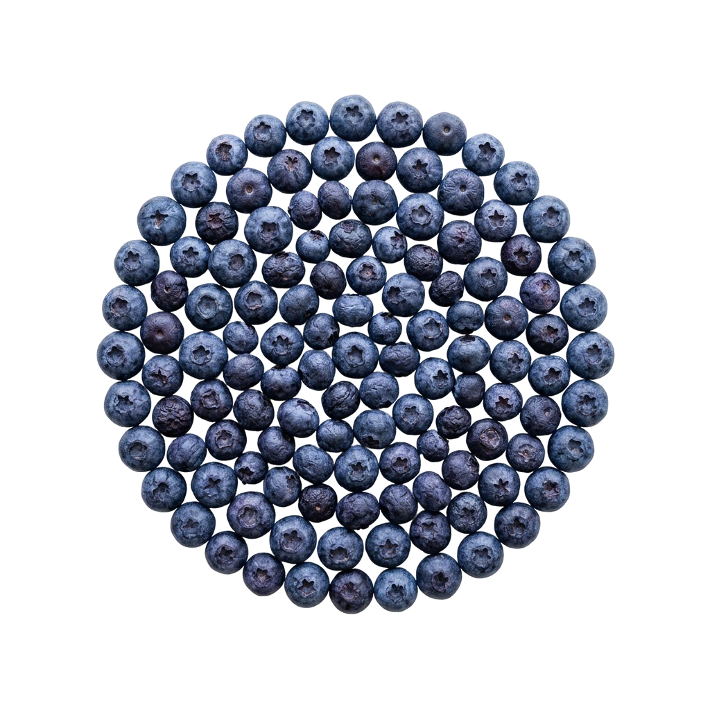 Голубика без сахара, сушеные ягоды, 30 г